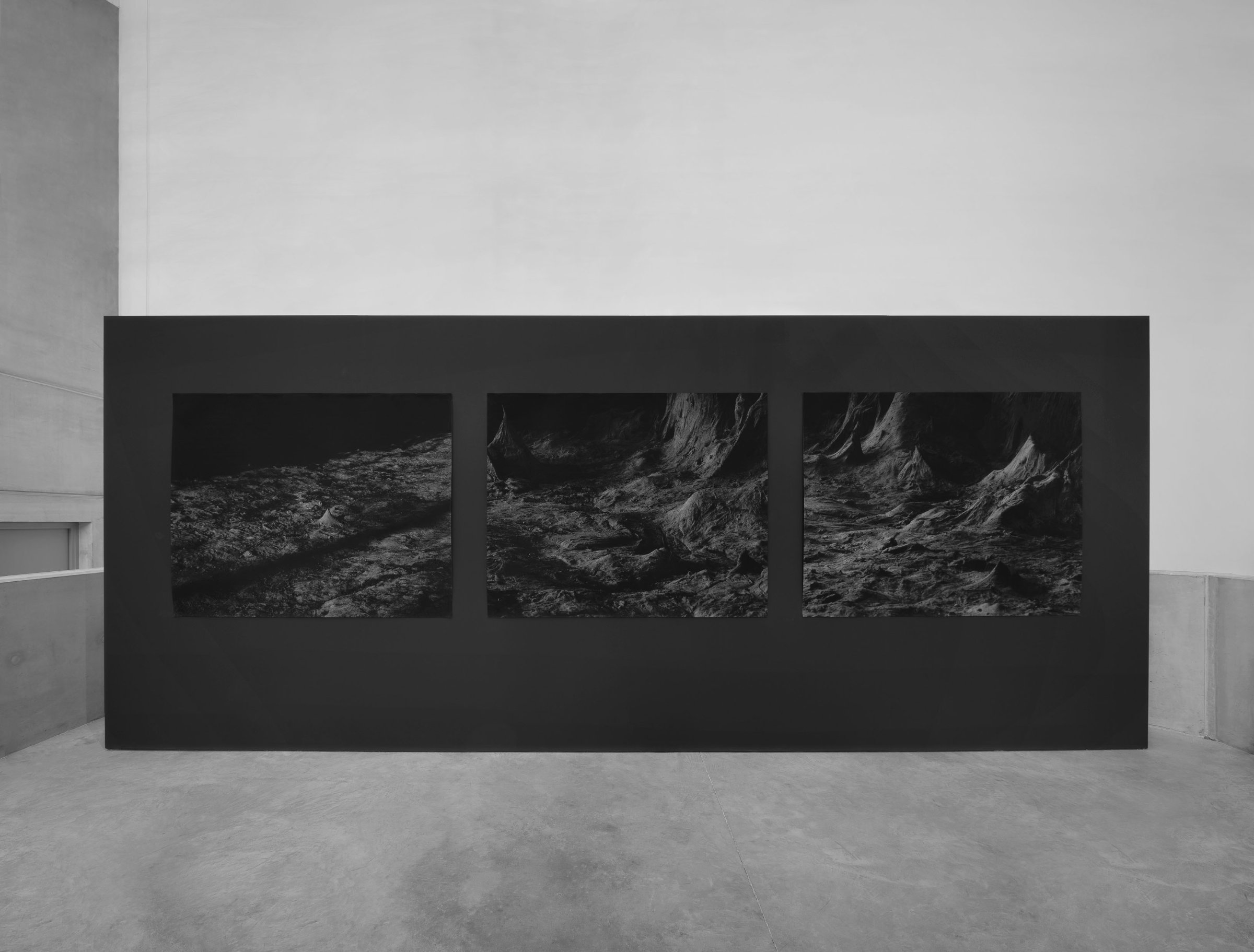 {Sad landscape I, II, III}, 2012-2024