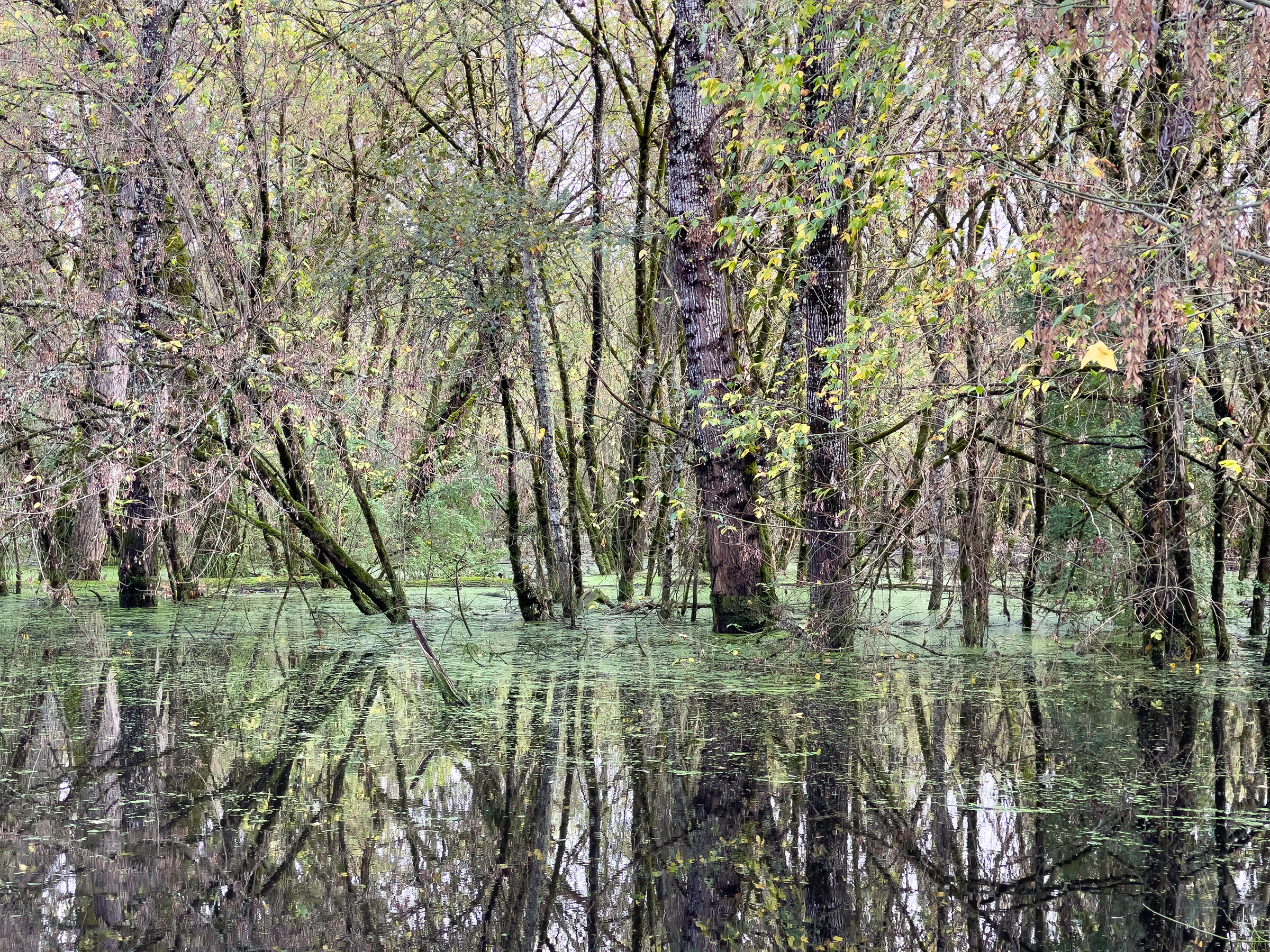 {Sans titre 18}