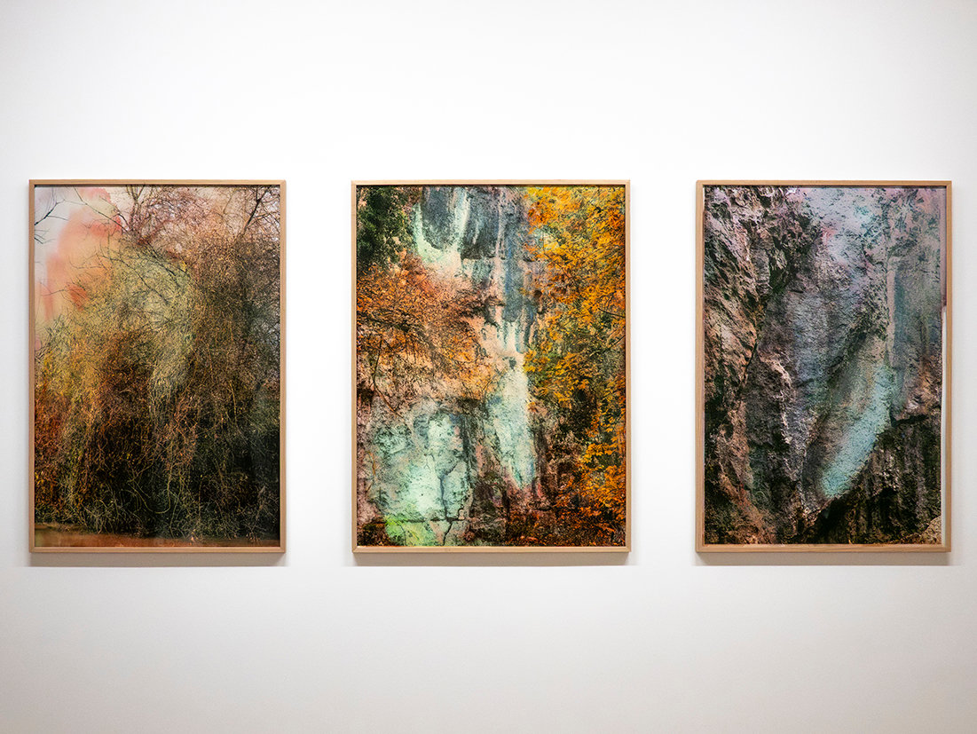 Exposition Paysages en relation, Galerie La filature, Mulhouse, 2026