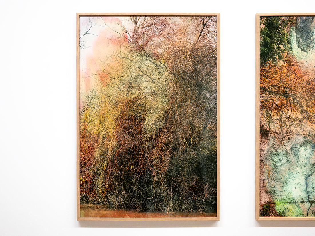 Exposition Paysages en relation, Galerie La filature, Mulhouse, 2026