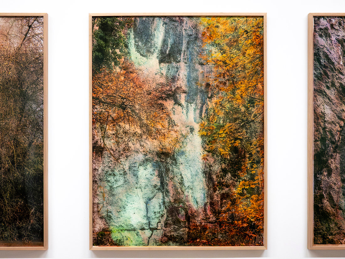 Exposition Paysages en relation, Galerie La filature, Mulhouse, 2026