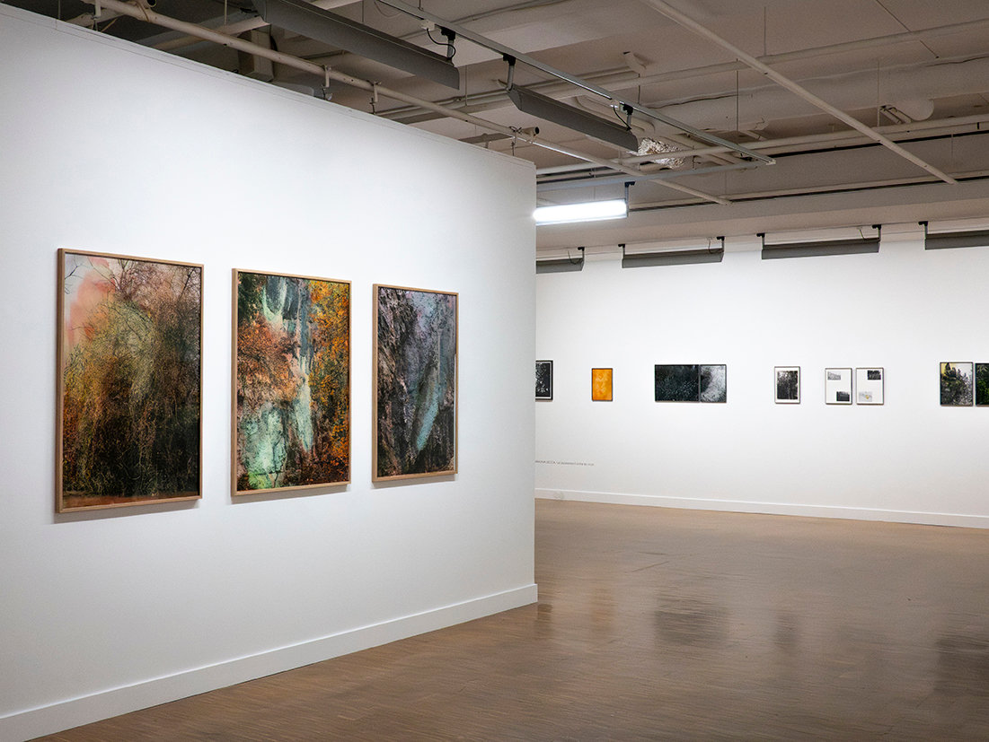 Exposition Paysages en relation, Galerie La filature, Mulhouse, 2026