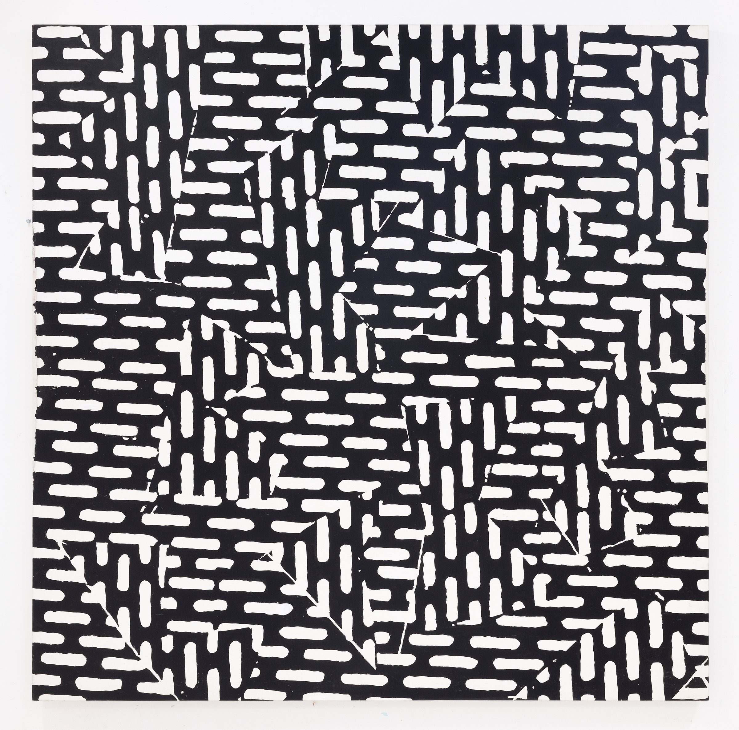 {Zebra}, 1995