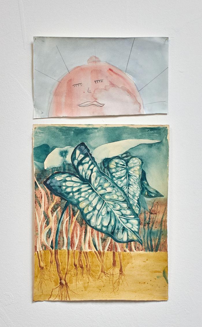 La fosse aux arum et Soleil rouge Composition à partir des aquarelles de Calypso Debrot et Ima-la-rivière