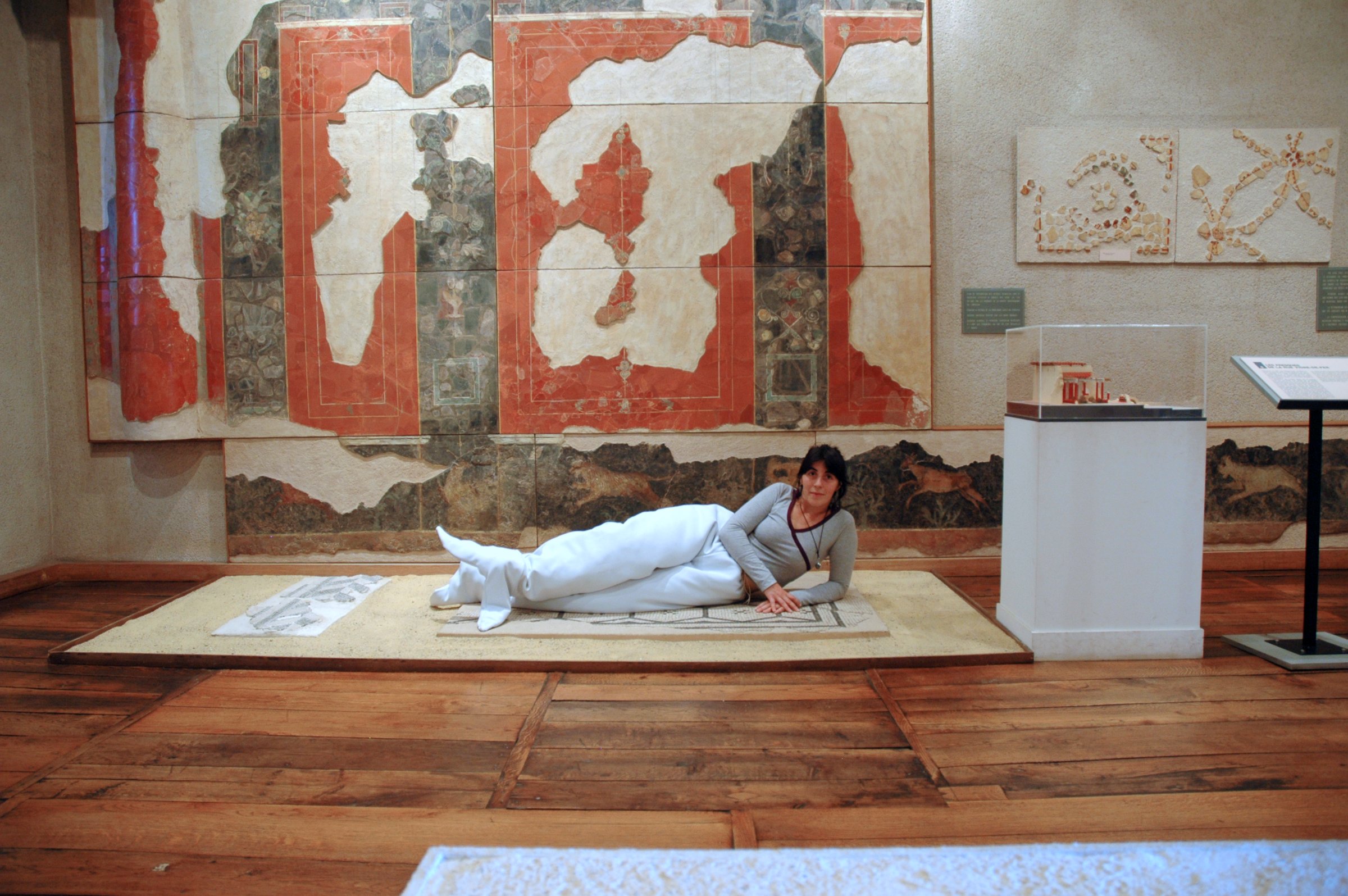 {Les phénomènes de David-Ossipovitch Widopff}, 2007