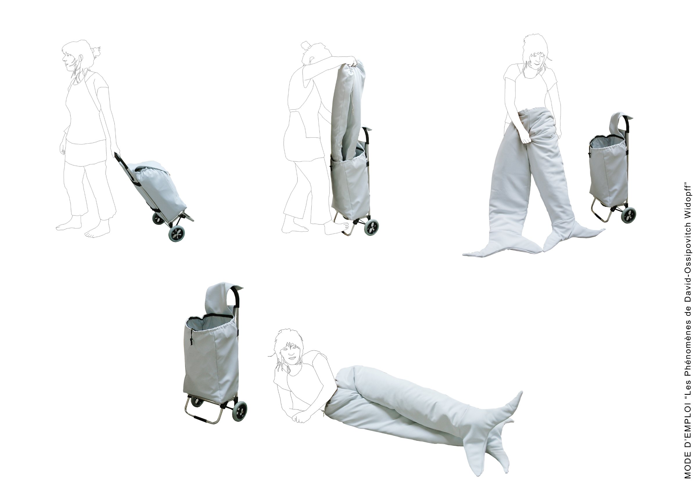 {Les phénomènes de David-Ossipovitch Widopff/mode d'emploi}, 2007