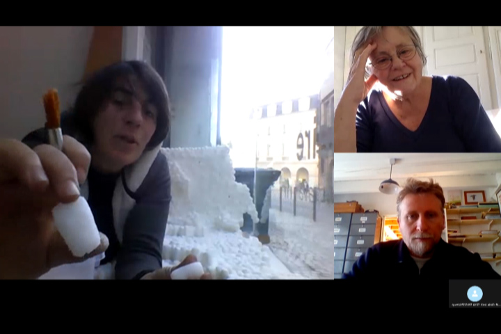 Capture d'écran de la réunion Skype