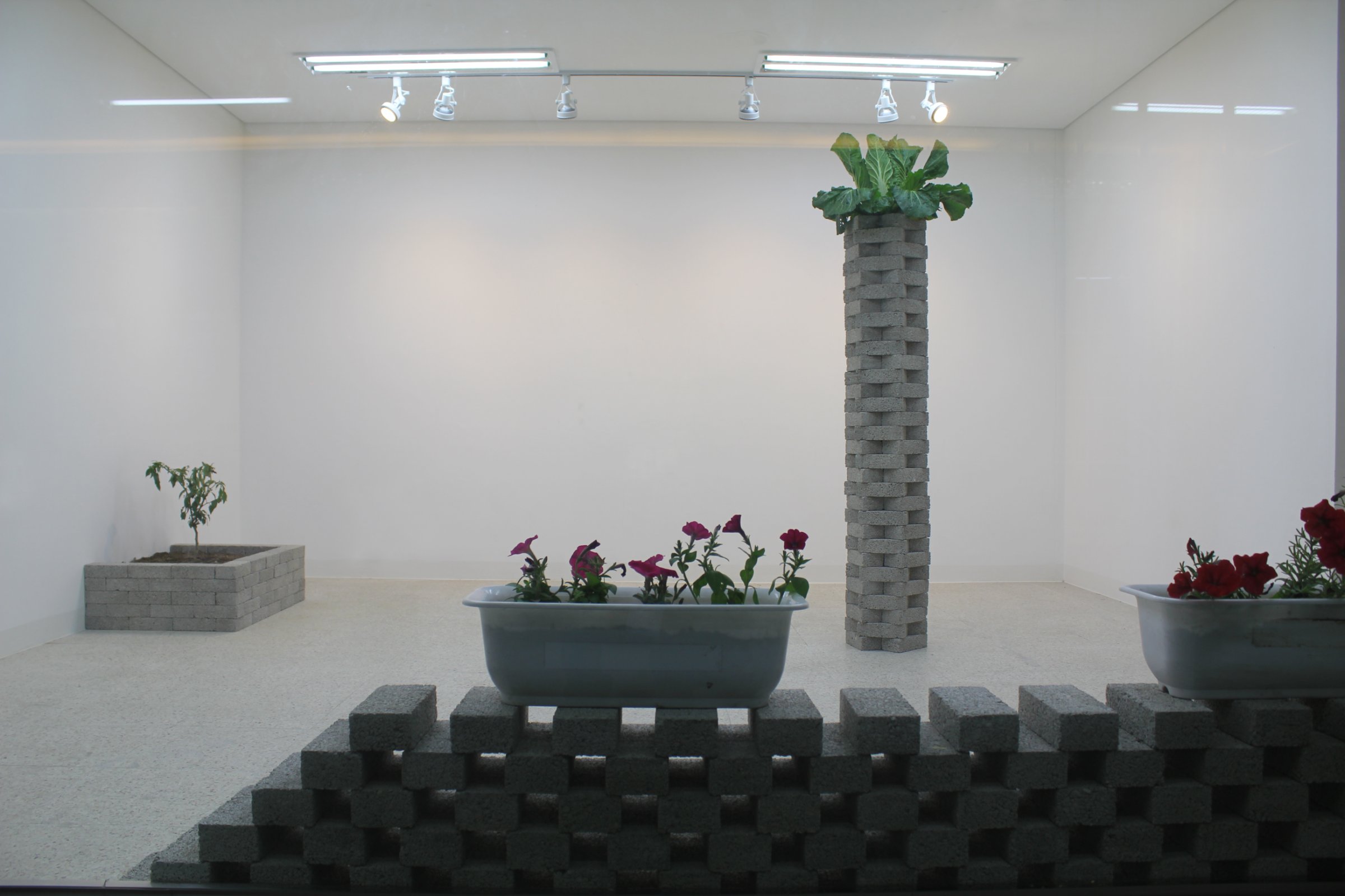 {Jeu d'attente avec allumettes}, 2012