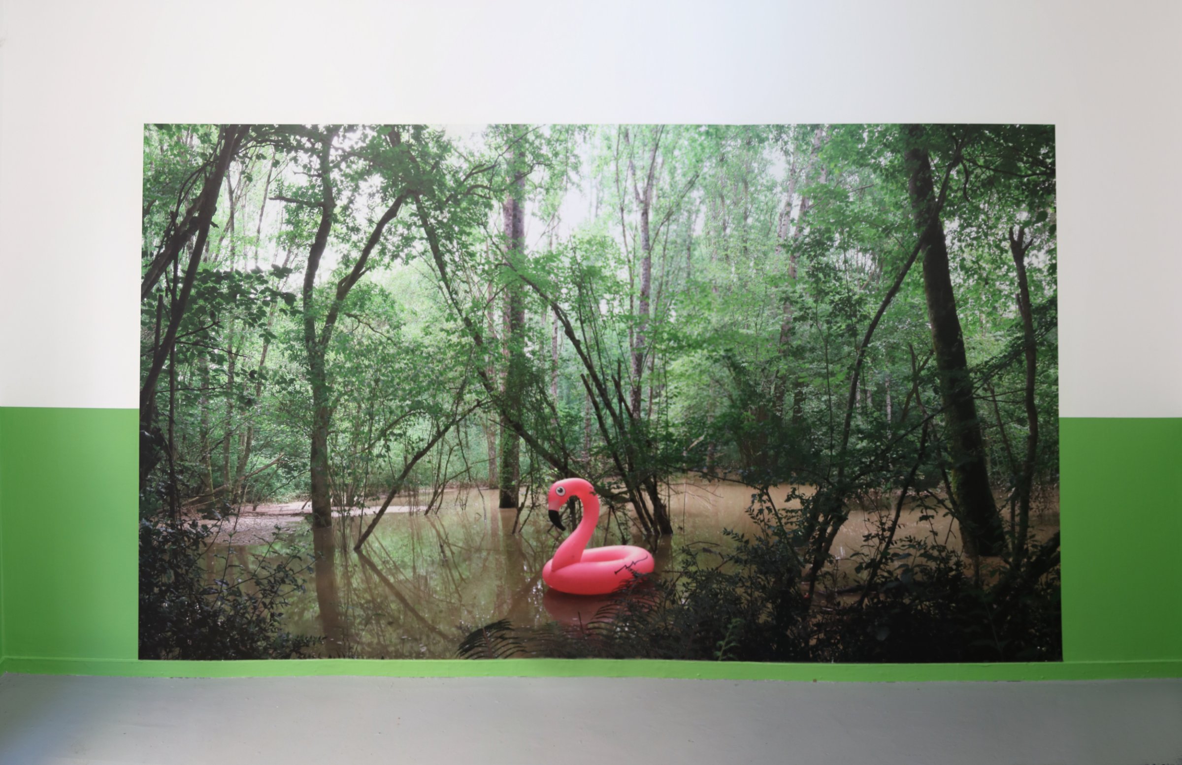 {Phoenicopterus wallpaper (Flamenco power)}, 2018