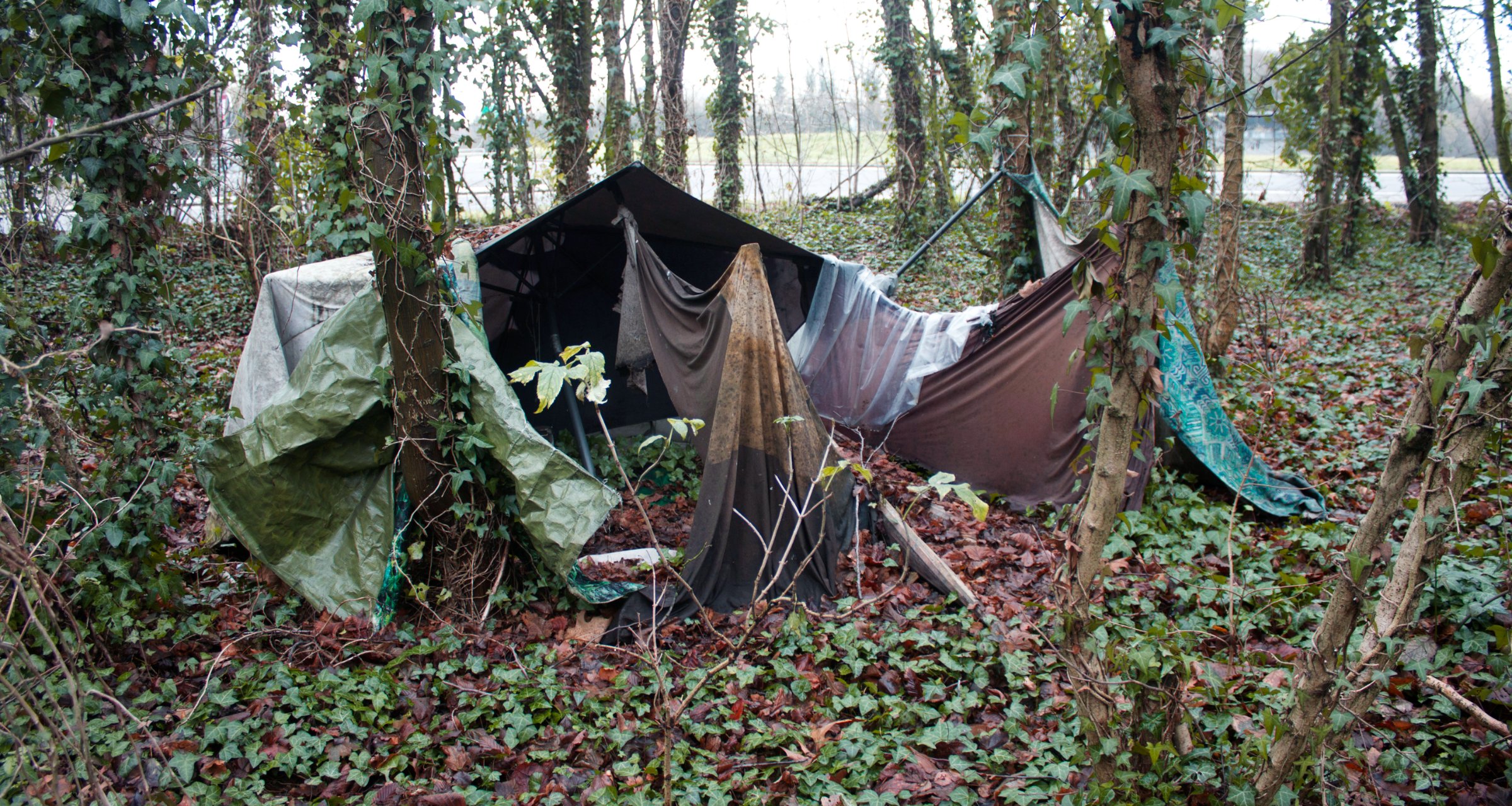 {Tarp}, 2014