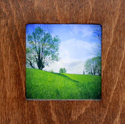 {paysage chronique}, 2013