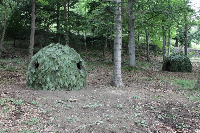 Vue de Horizon Art Nature en Sancy, 2011