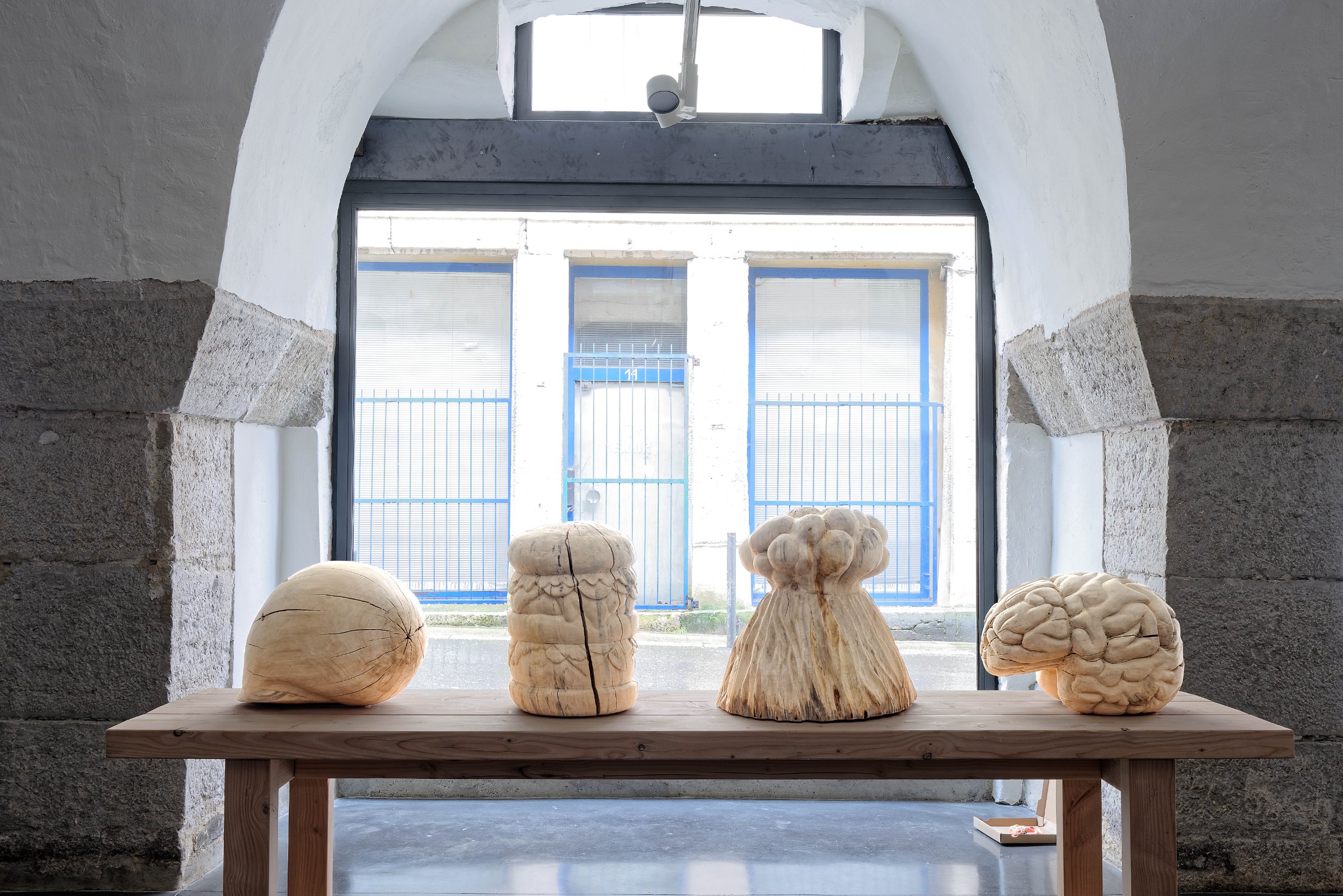 De gauche à droite : Coquille, 2019-2020 Peuplier, 35 x 46 x 37 cm Hamburger, 2019-2020 Peuplier, 46 x 34 x 38 cm Volcan, 2019-2020 Peuplier, 47 x 50 x 43 cm Cerveau, 2019-2020 Peuplier 32,5 x 46 x 37 cm
