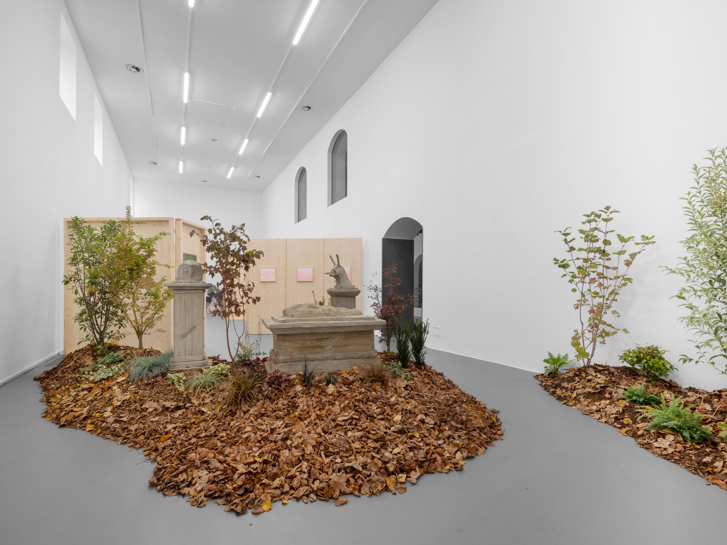 Exposition Thinking Like a Mountain, dans le cadre de la Biennale Gherdëina, Galleria d'Arte Moderna e Contemporanea di Bergamo, Bergamo (Italie), 2024 Commissariat : Lucia Pietroiusti et Filipa Ramos