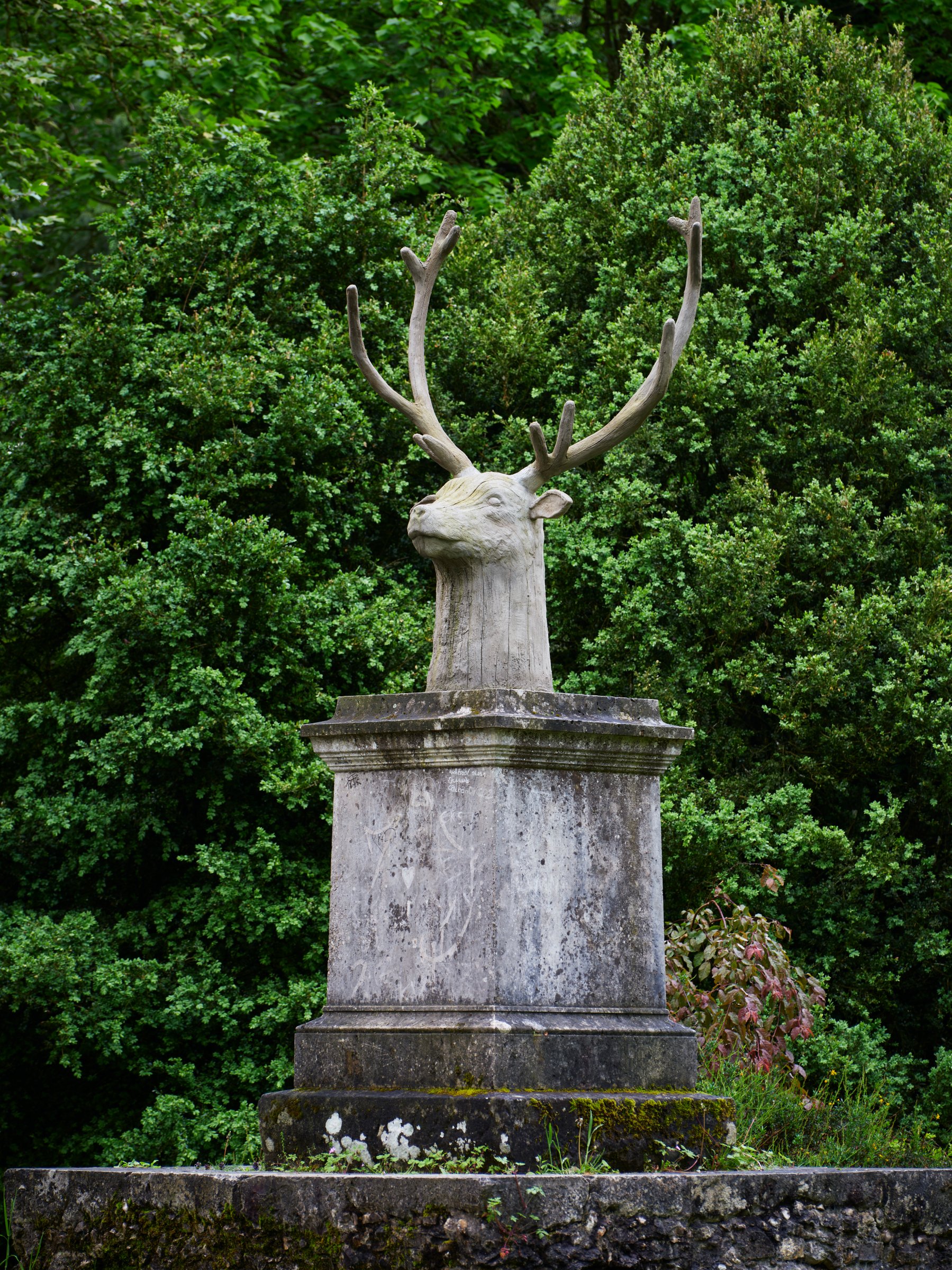 {Cerf}, 2023