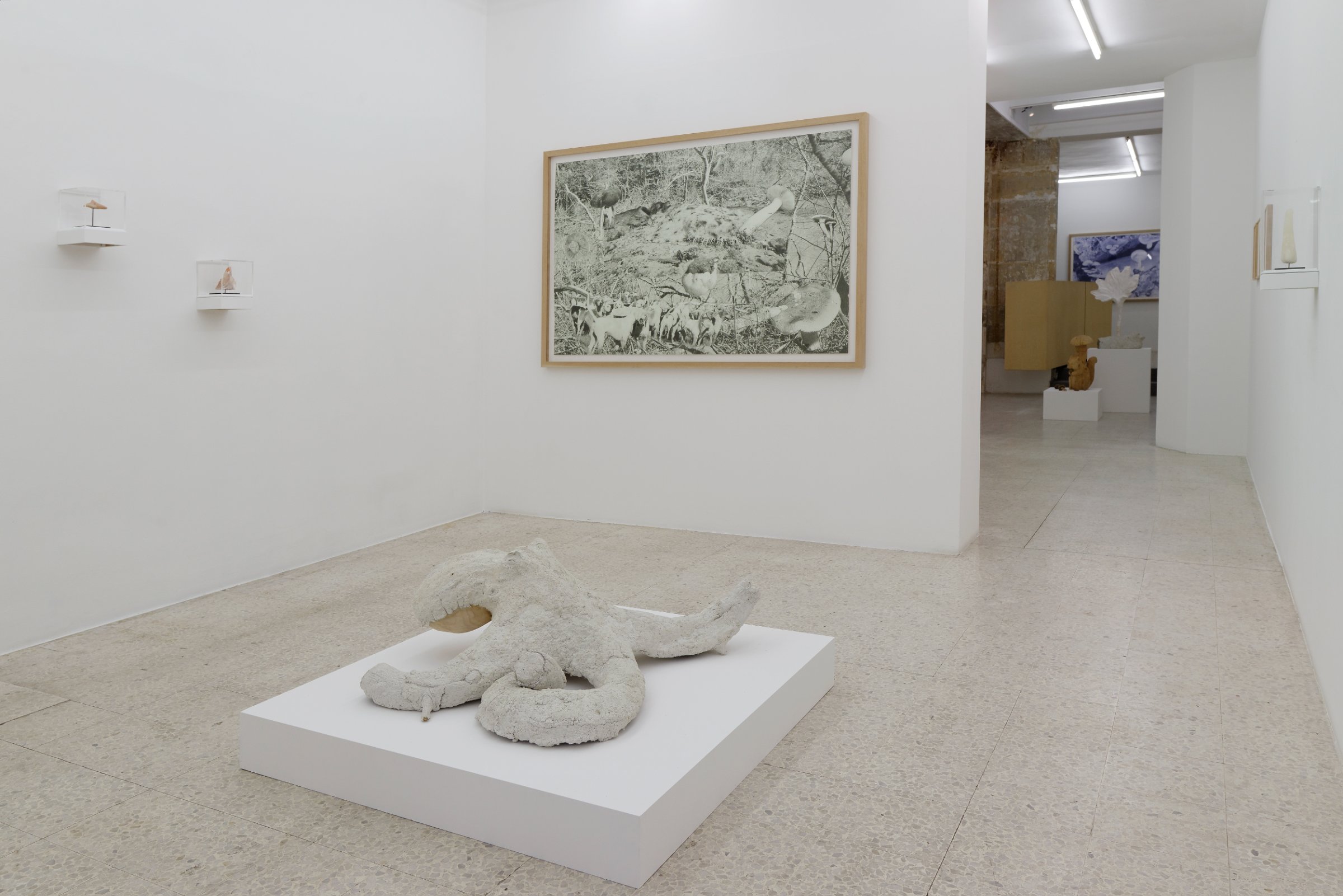 Exposition Jardin, Semiose Galerie, Paris, 2015