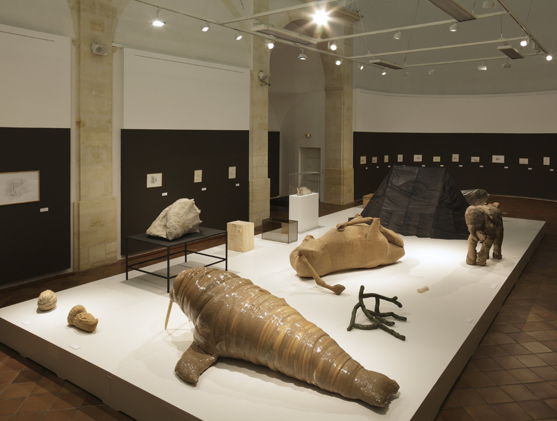 Exposition La grande évolution, Musée des Beaux-Arts de Libourne, Chapelle du Carmel, 2011-2012