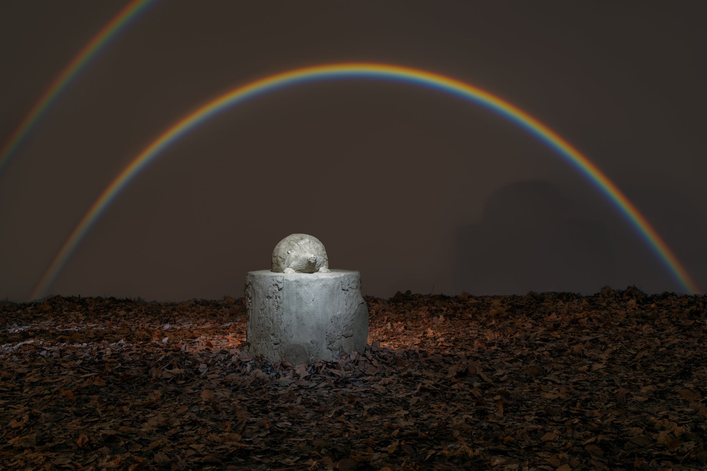 {Hérisson}, 2025