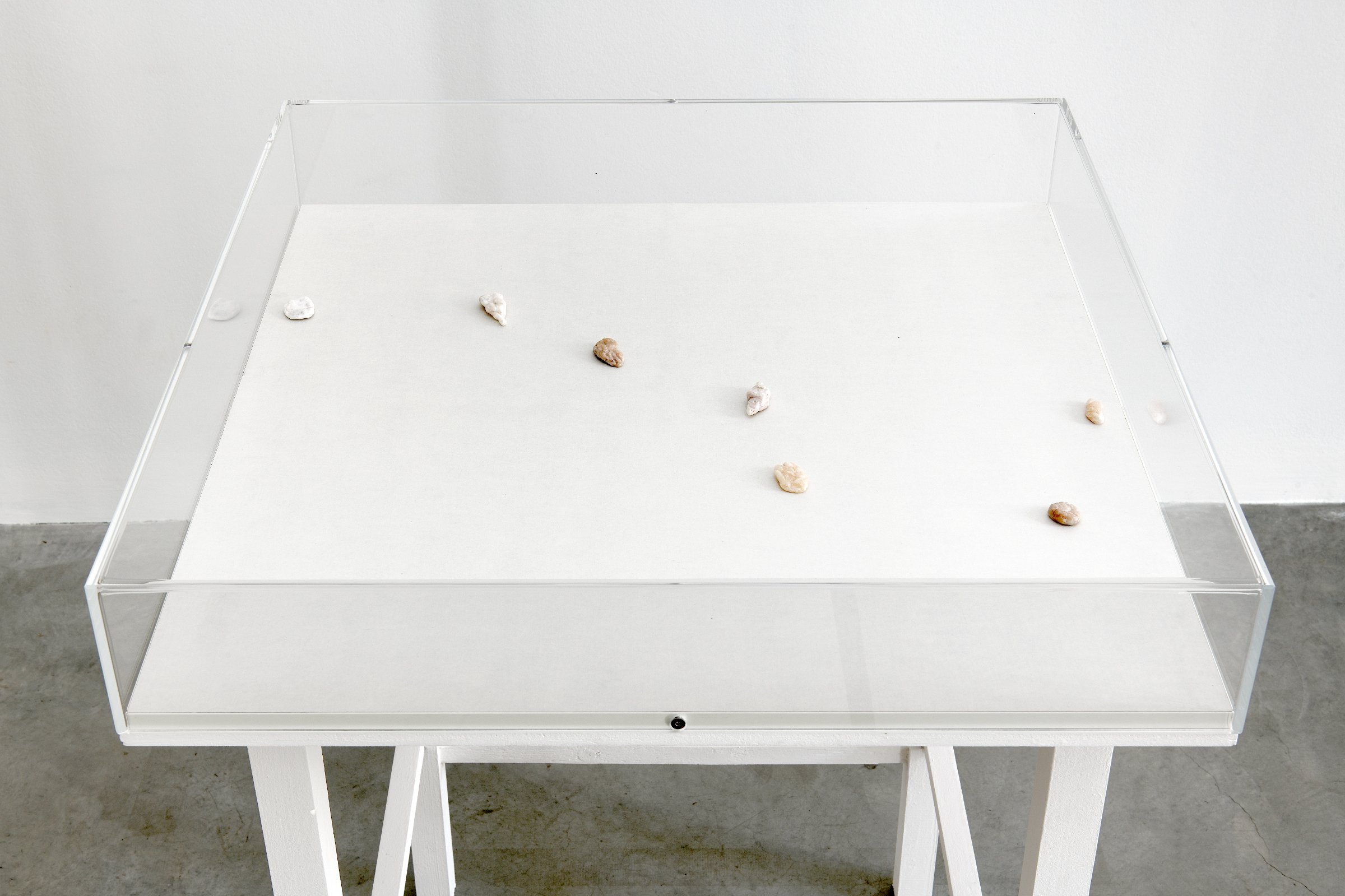 {Chewing-gums (Petite Ourse)}, 2022