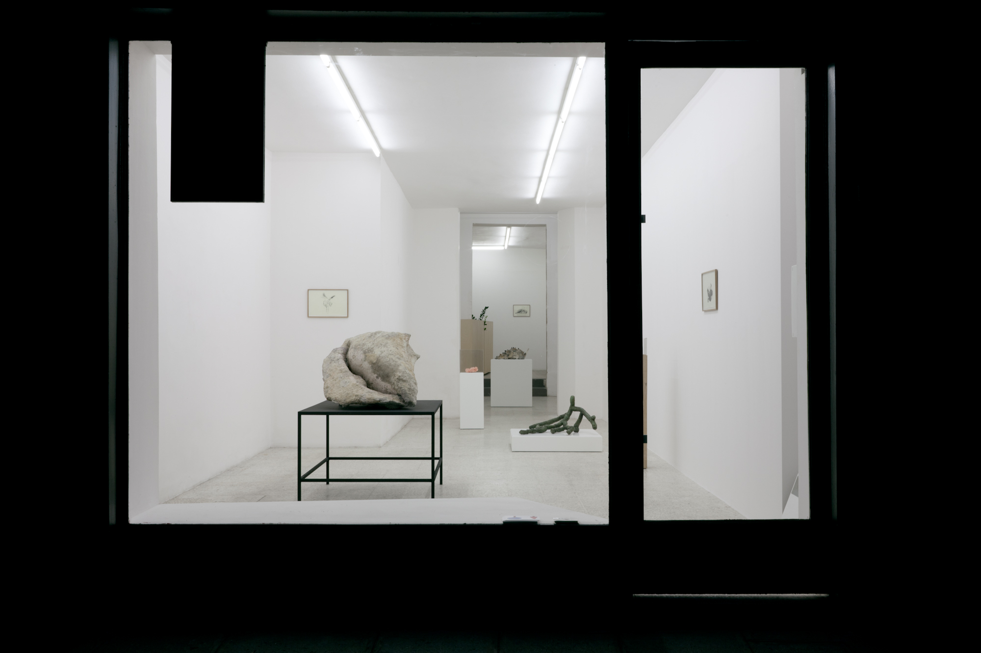 Exposition Laurent Le Deunff, Semiose Galerie, Paris, 2011