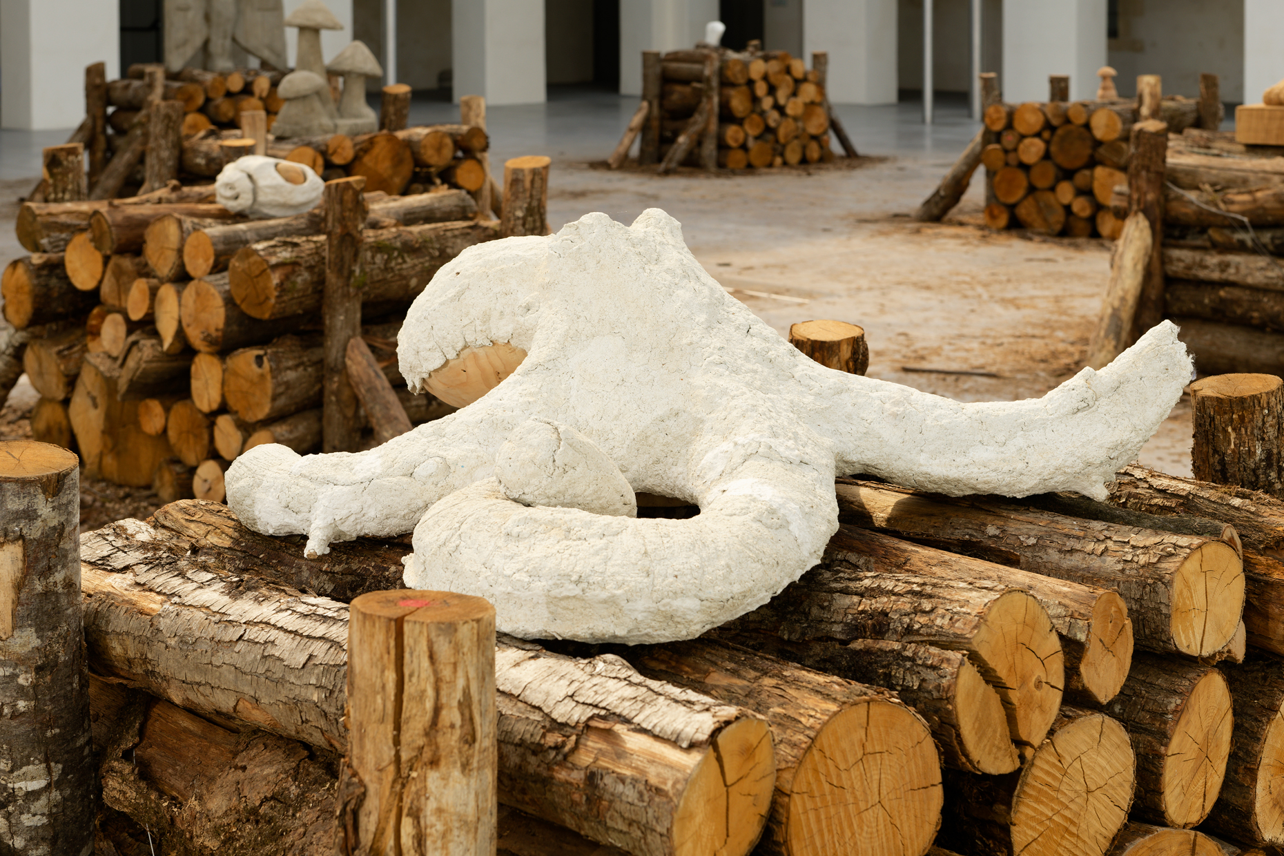 {Pieuvre végétale}, 2015