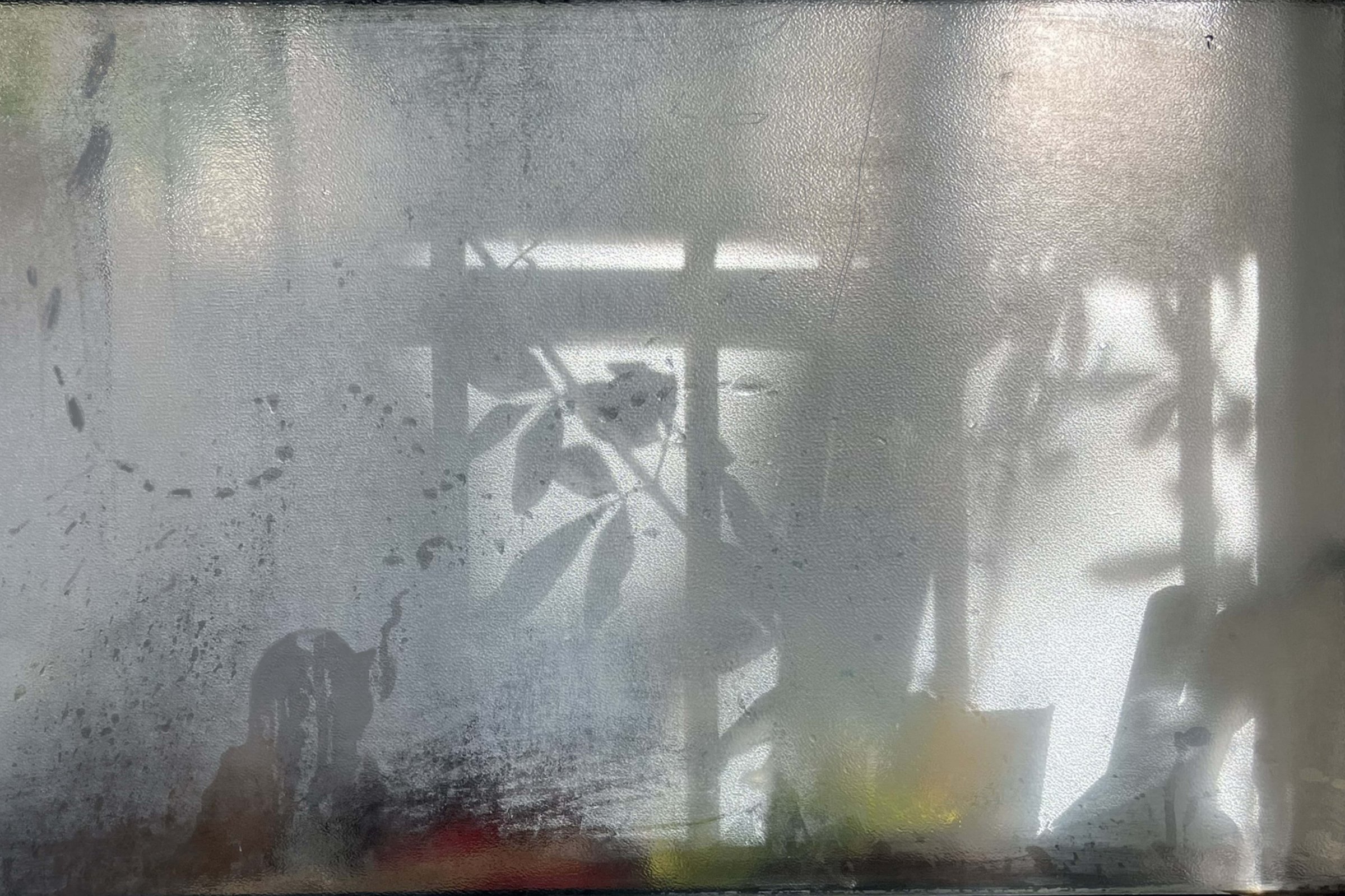 Michel Herreria, 2025