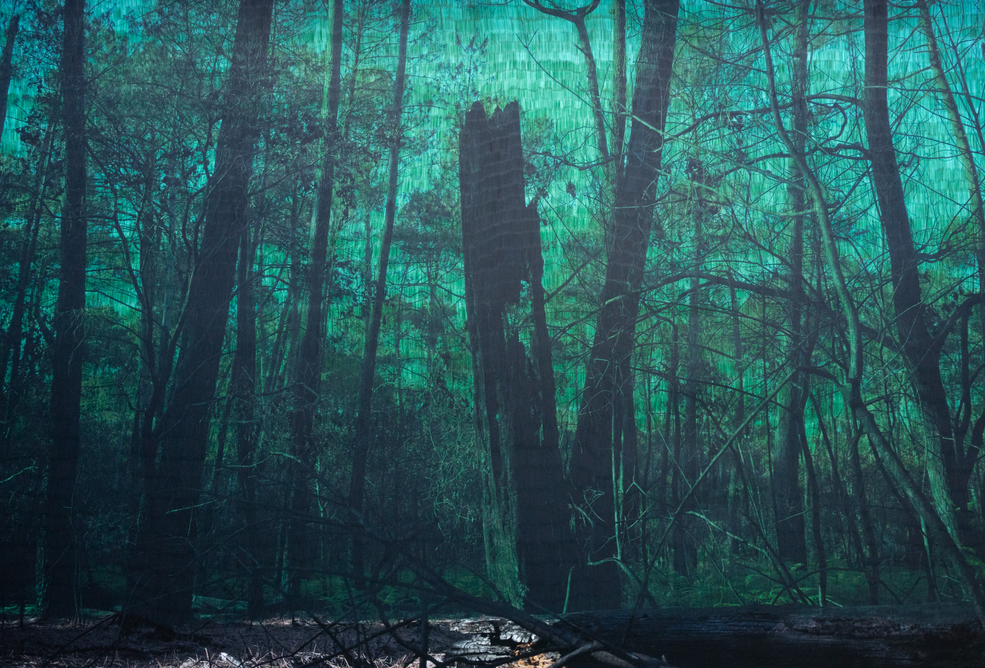 {This Too Shall Pass. Temps 1}, 2023