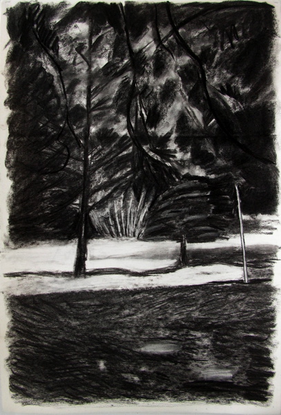 {130 Avenue de la Belle Etoile}