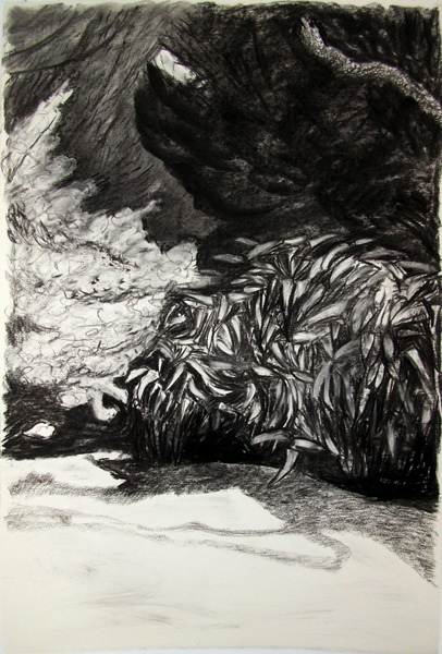 {130 Avenue de la Belle Etoile}