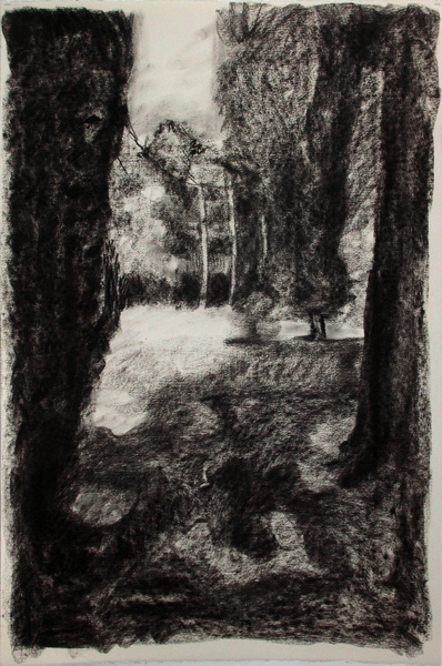 {130 Avenue de la Belle Etoile}