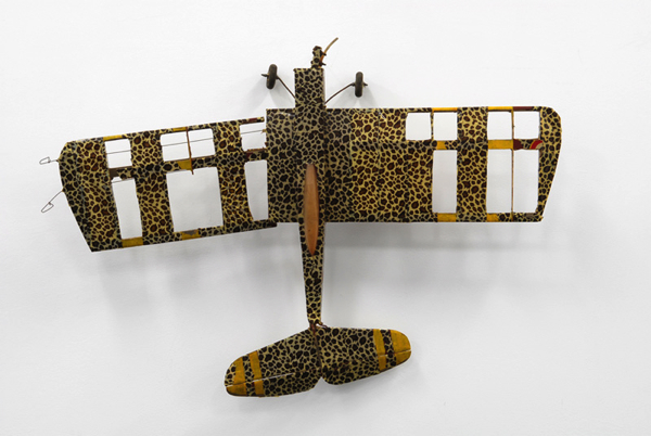 série {Coverings}, 2006-2007