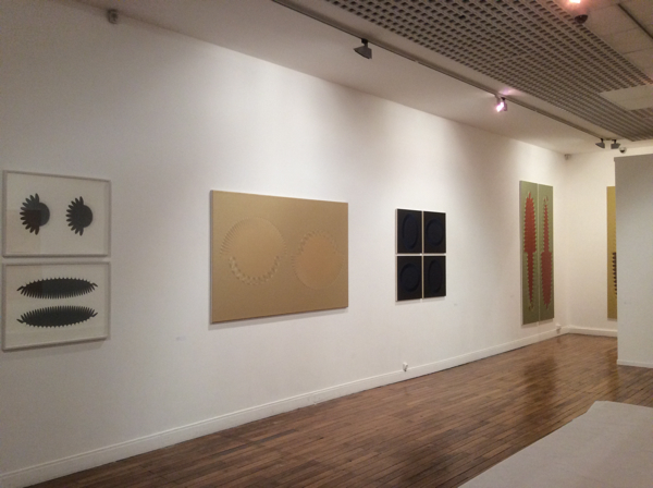 Vue de l'exposition personnelle SURFACE, EDGE, DEPTH. Peintures et œuvres sur papier, 2015, Espace culturel François Mitterrand, Périgueux