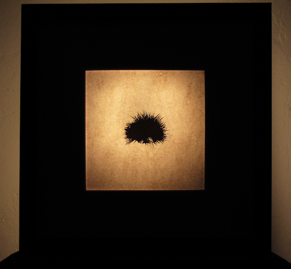 {Bogues, Haute-Vienne}, 2009