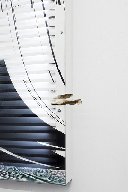 Pierre Clement, {PERS,SC,PLX,OYST,SYS (b)}, 2018, (détail)