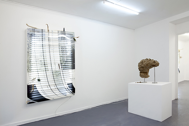 Vue de l'exposition Basic Extinct