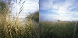 {chacun son paysage}, 2013