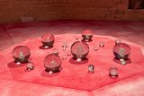 {SAUSTROGONADES}, 2023