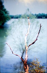 {paysage chronique}, 2013