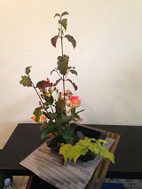 {Ikebana}, 15 octobre 2014