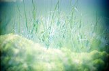 {paysage chronique}, 2013