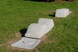 {Capteur de mémoire}, 2003