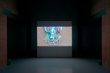 Vue de l'exposition Des Mondes aquatiques #1, Centre international d'art et du paysage de l'île de Vassivière, 2017