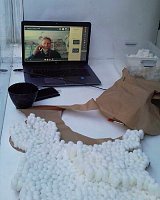 Plan de travail