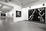 Vues de l'exposition, Galerie Numaga, 1991