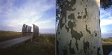 {chacun son paysage}, 2013