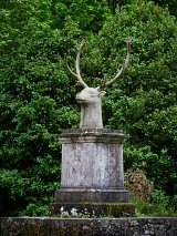 {Cerf}, 2023