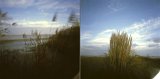 {chacun son paysage}, 2013