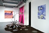 Exposition La nuit finir par tomber derrière l'iris jaune [...], Encooore, Biarritz, 2025 Avec Elsa Brès, Tatiana Defraine, Louise Vendel et Chloé Saksik