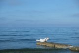 {Tentative de vol n°2, Tinos}, 2015