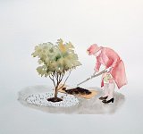 {Reine d'Angleterre - Érable cannelle - Queen's Platinium Jubilee - 2021}
